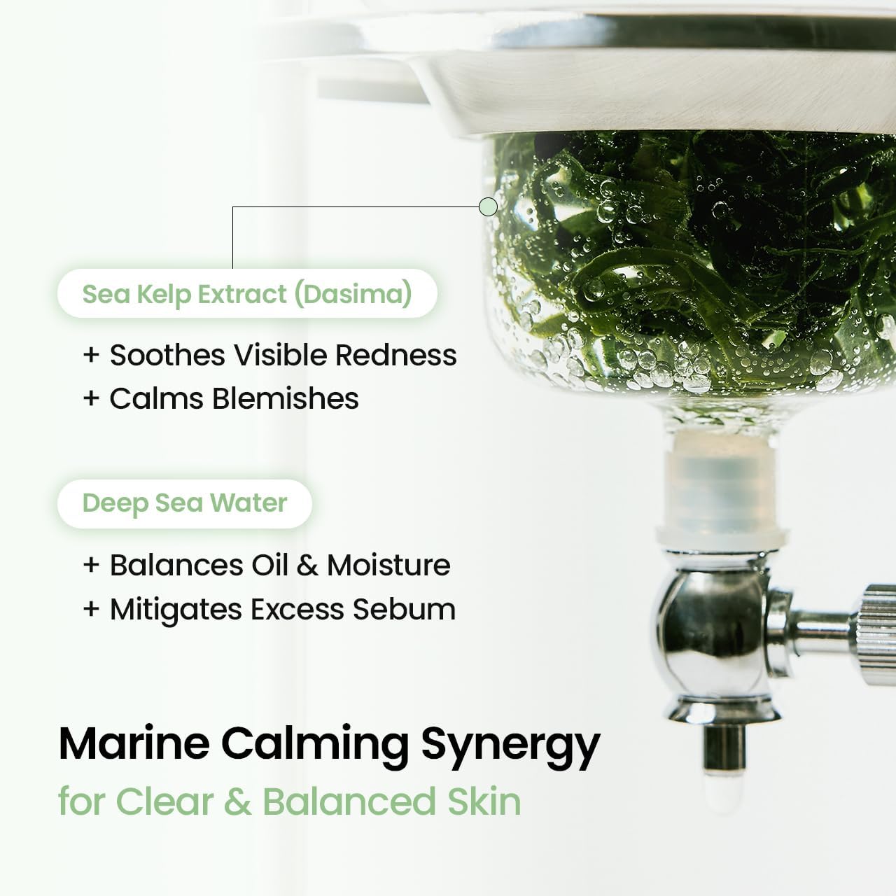 BIODANCE Refreshing Sea Kelp Real Deep Mask 34g x 4ea