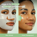BIODANCE Refreshing Sea Kelp Real Deep Mask 34g x 4ea